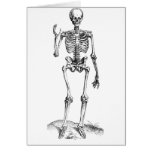Frontal vintage drawing of a waving skeleton cards