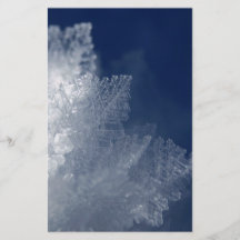 Frost Flyer Design