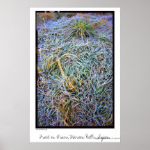 Frost on Grass, Maroon Bells, Aspen Print