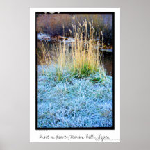 Frost on Leaves, Maroon Bells, Aspen Posters