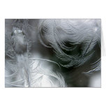 Frost on my Window Card
