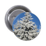 Frost On Trees Pinback Buttons