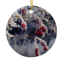 Frosted Berries ornament ornaments