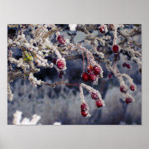 Frosted Berries print