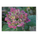 Frosted Flowers cards