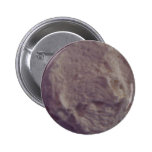 Frosted Sugar Cookie Buttons