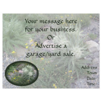 Frosty Ball: Alpine Wildflowers Flyer