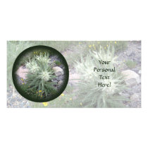 Frosty Ball: Alpine Wildflowers Photo Card