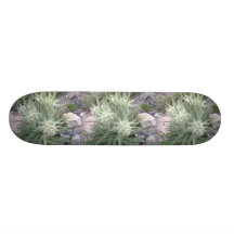 Frosty Ball: Alpine Wildflowers Skate Board Decks