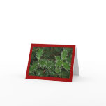 Frosty Holly Greeting Cards