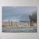 Frosty Morning Yarra Valley posters