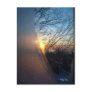 Frosty Sunrise Post Card