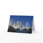 Frosty Winter Morning cards