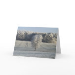 Frosty Winter Morning-Rothenburg Germany cards