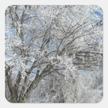 frostyliltree.jpg stickers