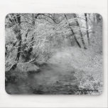 Frozen Bare Branches mousepads