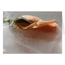 Frozen Beauty Rose Cards