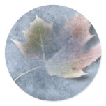Frozen Leaf on Ice stickers