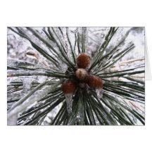 Frozen Pine Greeting Card