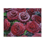 frozen roses post card