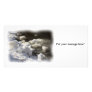 Frozen Stream - Photocard Photo Greeting Card