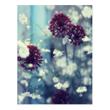 Frozen Summer Postcard