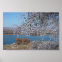 Frozen Tree posters