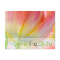 Fruehling • Save the Date Postkarte Postcard