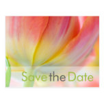 Fruehling • Save the Date Postkarte Postcard