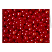 Fruit and seed, Viburnum opulus or guelder rose Card