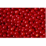Fruit and seed, Viburnum opulus or guelder rose photo sculptures