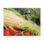 Fruit and Vegetables Post Cards