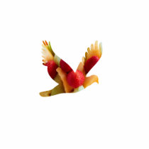 fruit bird,magnet photo sculptures