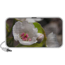 Fruit Blossom Doodle Speaker