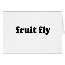FRUIT FLY CARD