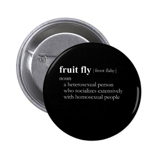 FRUIT FLY (definition) Pinback Buttons