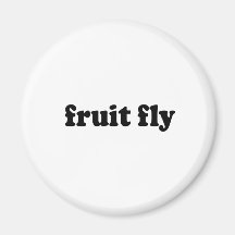 FRUIT FLY MAGNET