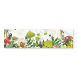 Fruit Garden Bumper Sticker bumper stickers