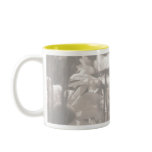 Fruit of the Spirit- JOY mugs