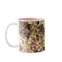FRUIT of the VINE by SHARON SHARPE mugs