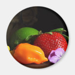 fruit-still-life refrigerator magnet