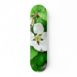 Fruit Tree Flower Skateboard Decks