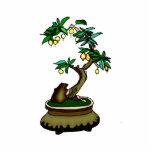 Fruiting Bonsai in Pot Bonsai Graphic Image Cut Outs