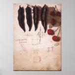 Fruits and Vegetables Poster posters