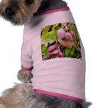 Fruits Plants Leaves Pet T-shirt