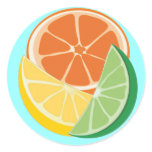 Fruity and Fun Round Stickers