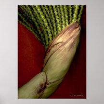 Frutas-077 Posters