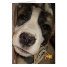 FUBAR GREETING CARDS
