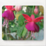 Fuchsia 3 mouse mats