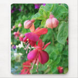 Fuchsia 5 mouse mats